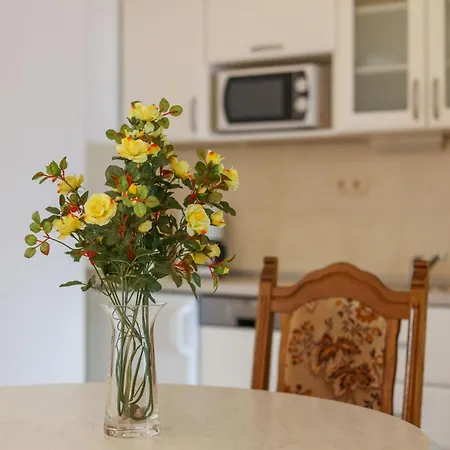 Apartman Cetina Omis