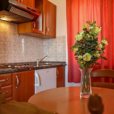 Cetina Apartman *
